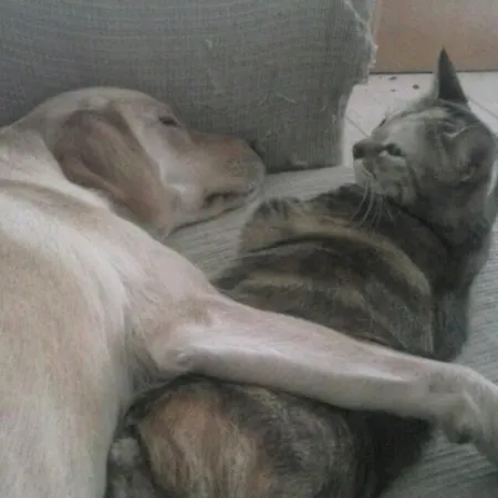 En Casa Ξενοδοχείο *