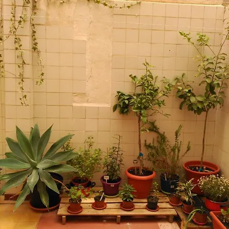 Ξενοδοχείο En Casa *