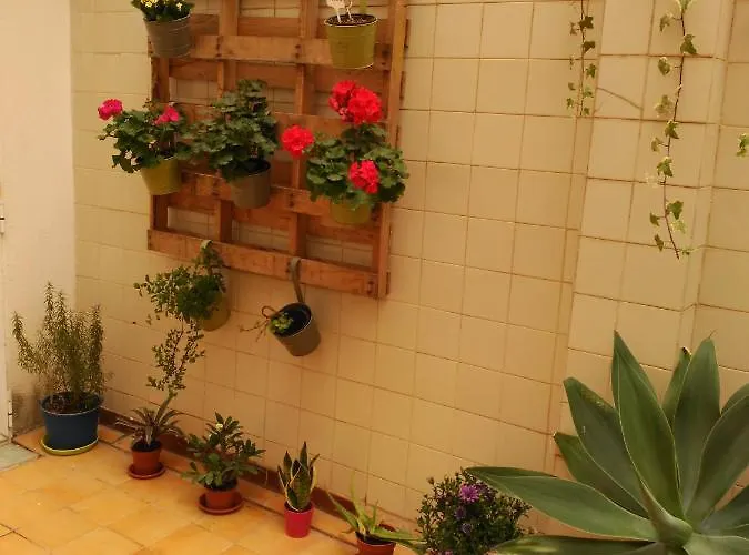 호텔 En Casa