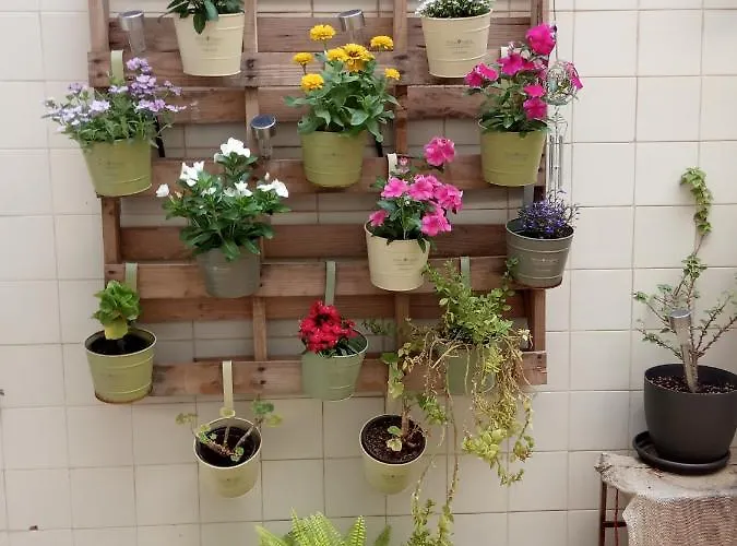 En Casa 阿利坎特